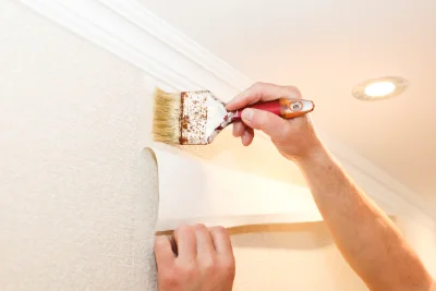 Pose de papier peint à Viscomtat — revêtements muraux et toiles de verre